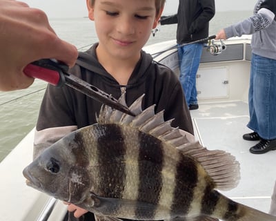 Galveston Bay & Jetty Fishing Half-Day Trip
