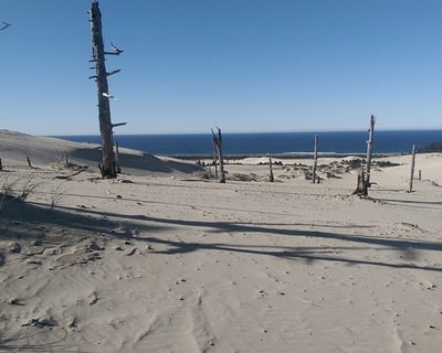 6-Hour ATV & UTV Rental in Winchester Bay