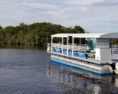 2-Hour St. Johns River Nature Cruise