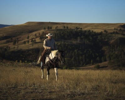 Advanced Full-Day Trail Ride in Custer State Park