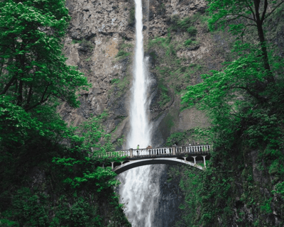 Columbia River Gorge Botanical Waterfalls Hike