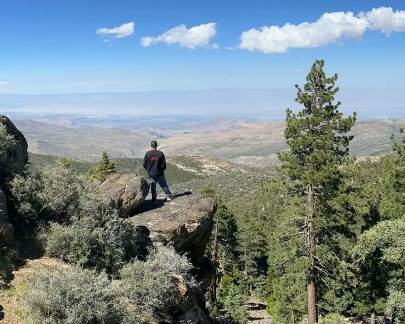 Full-Day Toro Peak Off-Road Jeep Tour from Anza