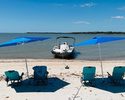 Dolphin & Manatee Cruise in Ten Thousand Islands