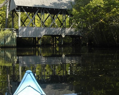 Guided Maritime Forest Kayak Tour in Kitty Hawk