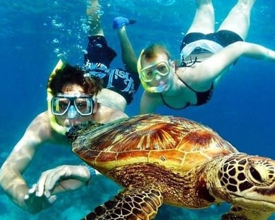 3-Hour Guided Shoreline Snorkeling Tour in San Juan