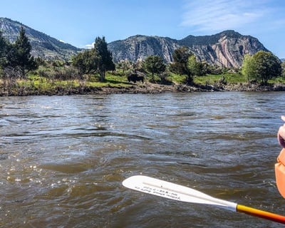 2-Hour Yellowstone River Guided Float