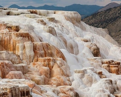 Explore Yellowstone Upper Loop Private Guided Tour