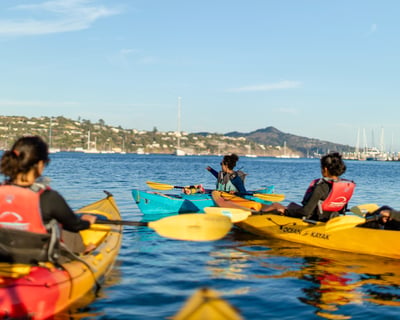 Private Guided Sea Kayaking Tour in Sausalito