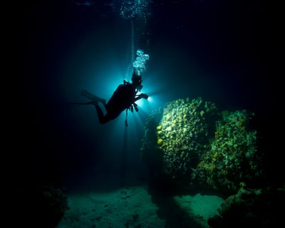 Maui Night Shore Scuba Dive in Lahaina