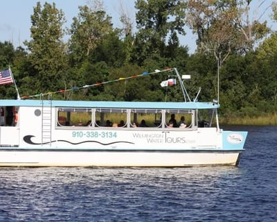 Northeast Cape Fear River Blackwater Cruise From Wilmington