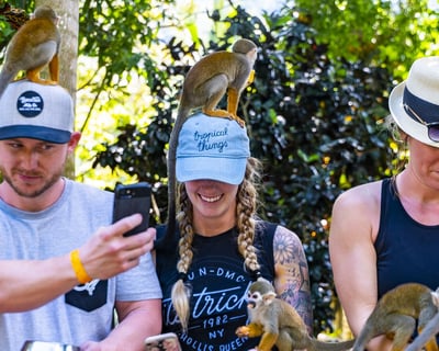 Squirrel Monkey Tour at Monkeyland
