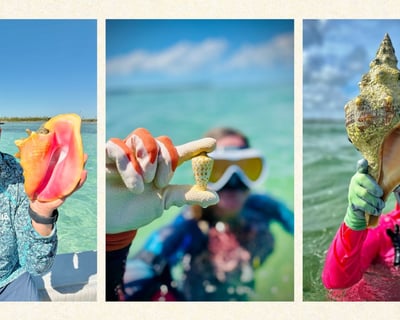 Private Florida Keys Shelling & Snorkeling Charter