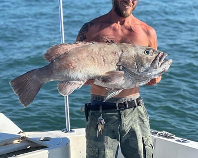 Bottom Fishing / Deep Drop