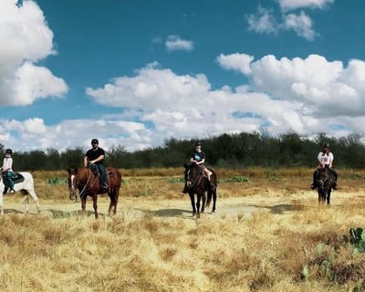 Fall/Winter Group Riding Lesson on the Trails