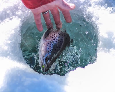 2.5-Hour Ice Fishing Tour in Willow
