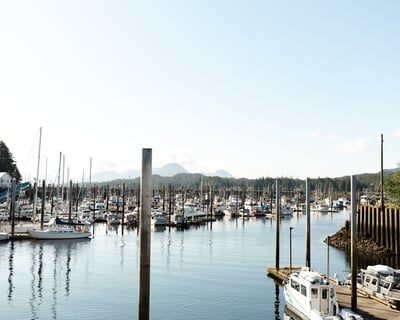 Ketchikan to Ward Cove 1-Hour Shuttle Cruise