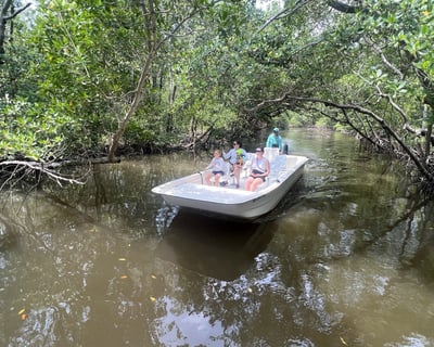 Everglades National Park Mangrove Boat Tour