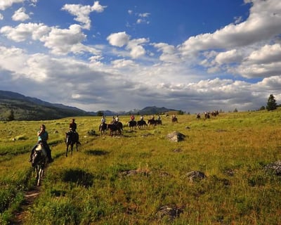 1.5-Hour Horseback Ride Near Yellowstone Park