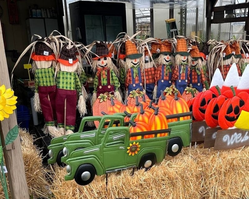 Fall Festival with Hayrides & Corn Maze in Fairfield, NJ