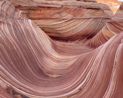 Guided Hike at The Wave