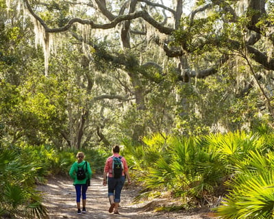 Guided Nature Hike on Talbot Island