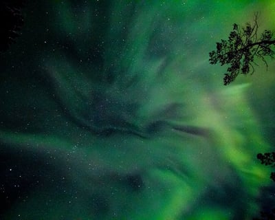 Anchorage Northern Lights Experience