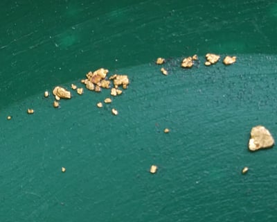 Private Gold Claim Dig with Expert Miner