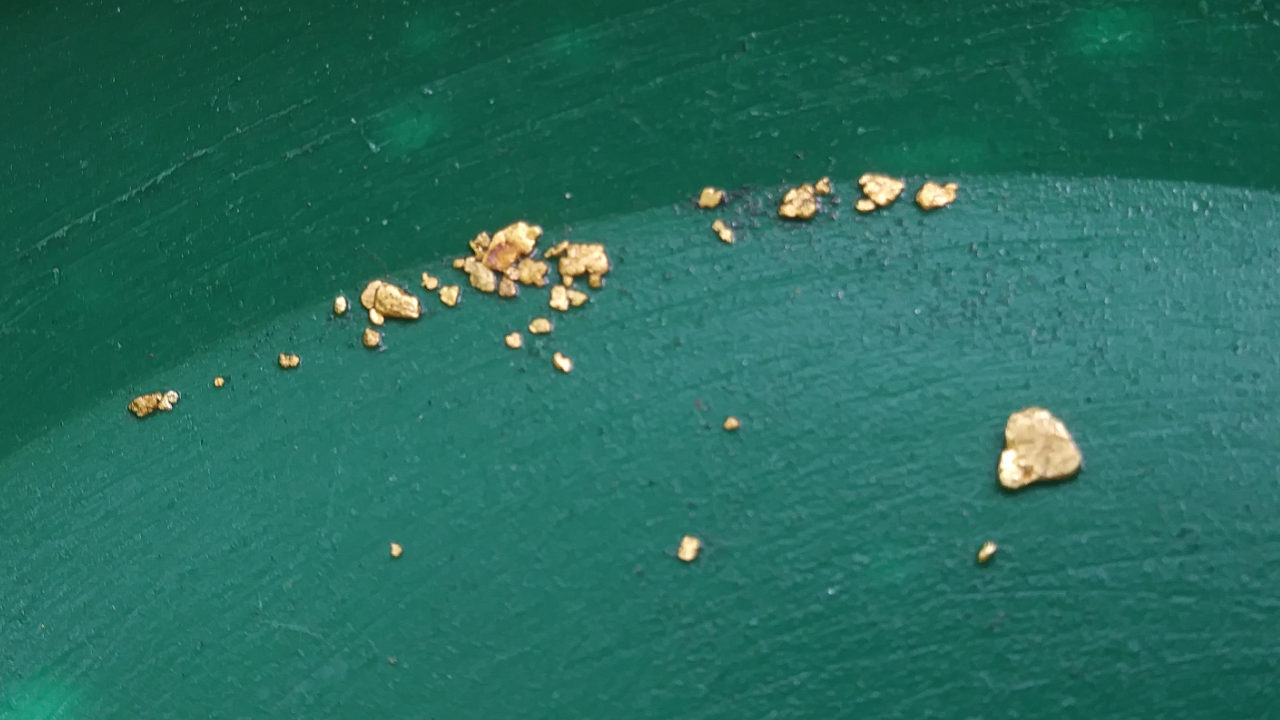 Private Gold Claim Dig with Expert Miner