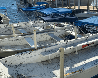 7-Hour Boat Rental in Lajas