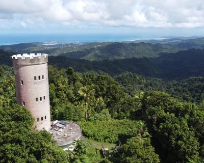 El Yunque National Forest Guided Hiking Tour