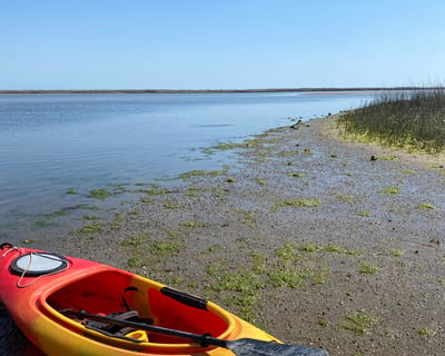 Guided Kayak Tour of Zeke's Island