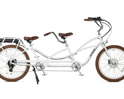 Tandem E-Bike Rental in Dunedin
