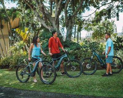 Guided E-Bike Tour in Kapalua