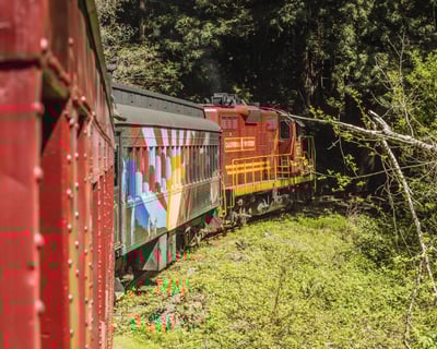 Fort Bragg Historic Train Through Redwood Forest