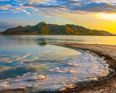2-Hour Great Salt Lake State Park Guided Tour