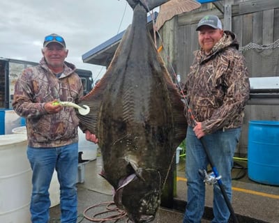Homer Halibut Fishing Charter