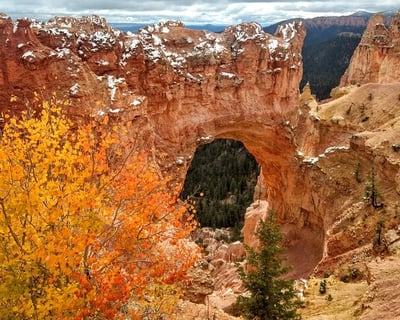 Bryce Canyon National Park Scenic Guided Tour