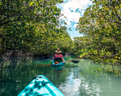 Fort Pierce Inlet State Park Kayak or SUP Rental – 4 Hours