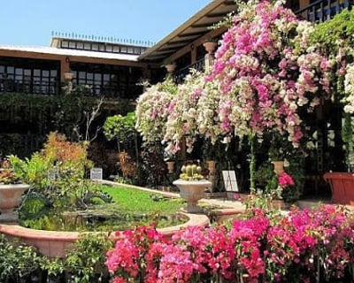 Puerto Vallarta Botanical Garden Private Tour