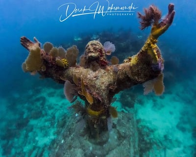 Explore John Pennekamp Coral Reef State Park by Snorkel