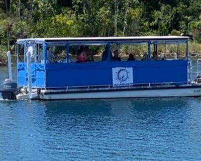 Manatee Viewing Cruise in Crystal River