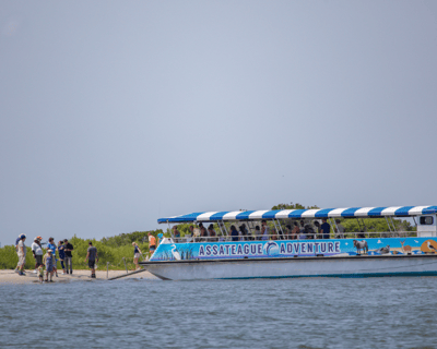Assateague Island Narrated Nature Cruise