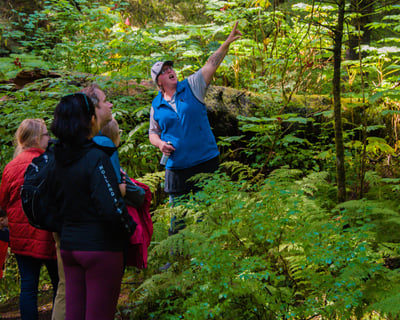 Customize a Private 2.5-Hour Sitka Scenic Tour