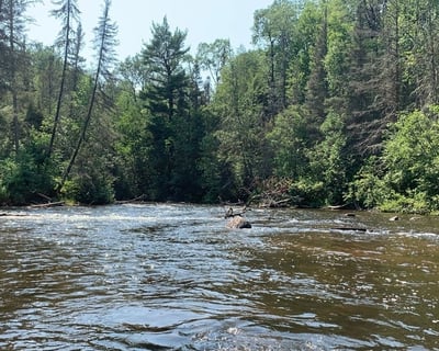 3-Hour Canoe & Kayak Rental in Brule
