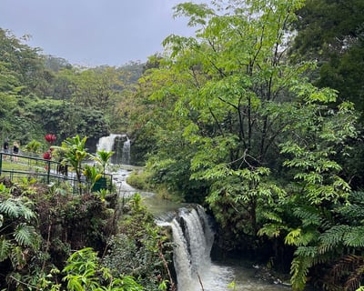 Road to Hana Guided Tour From Maui, 6-Hour