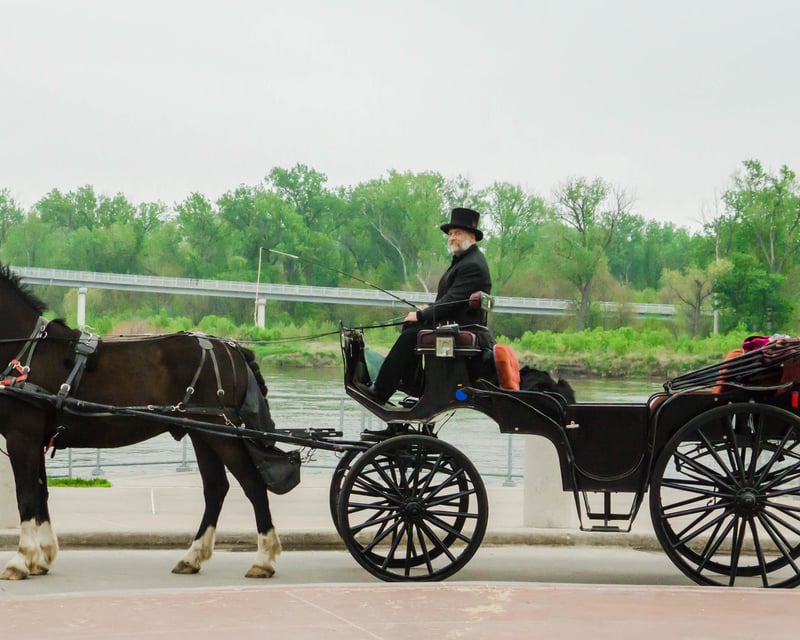 Guided Vis-a-Vis Carriage Tour in Omaha