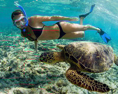 Oahu Boat Snorkeling Tour with Gear & Snacks