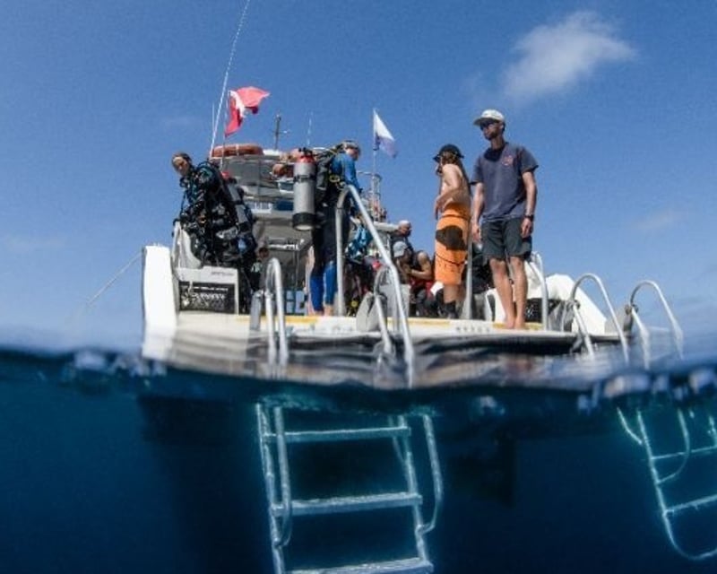 Unguided 2-Tank Scuba Boat Dive off Catalina Island