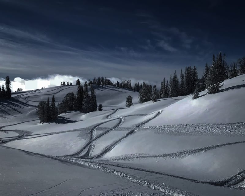 Full-Day Self-Guided Snowmobile Rental in Jackson Hole