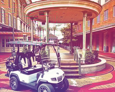 Long Lazy Lake Loop Guided E-Cart Tour